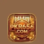 pkr656-game