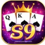 S9 GAME