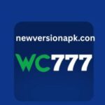 wc777-game