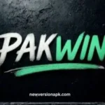PAKWIN88 Game