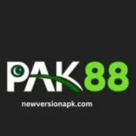 PAK88 Game