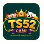 TS52 Game