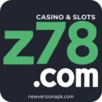 Z78 Game