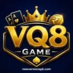 VQ8 Game