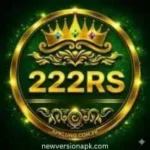 222RS Game