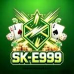 SK E999 Game