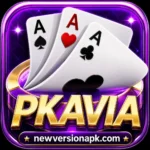PKAVIA Game